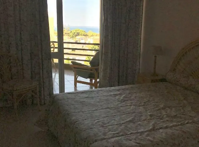 Palmeira Gale アルブフェイラ