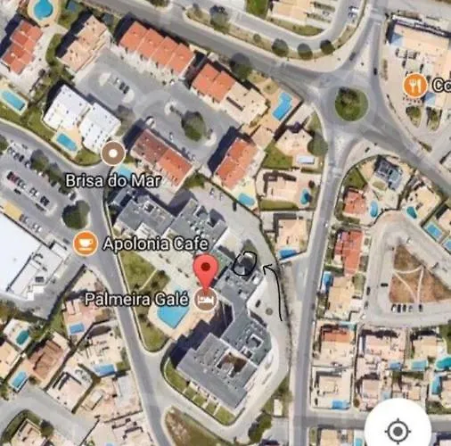 Palmeira Gale アルブフェイラ